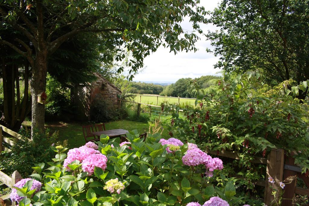 Wallace Lane Farm Westward Exterior photo