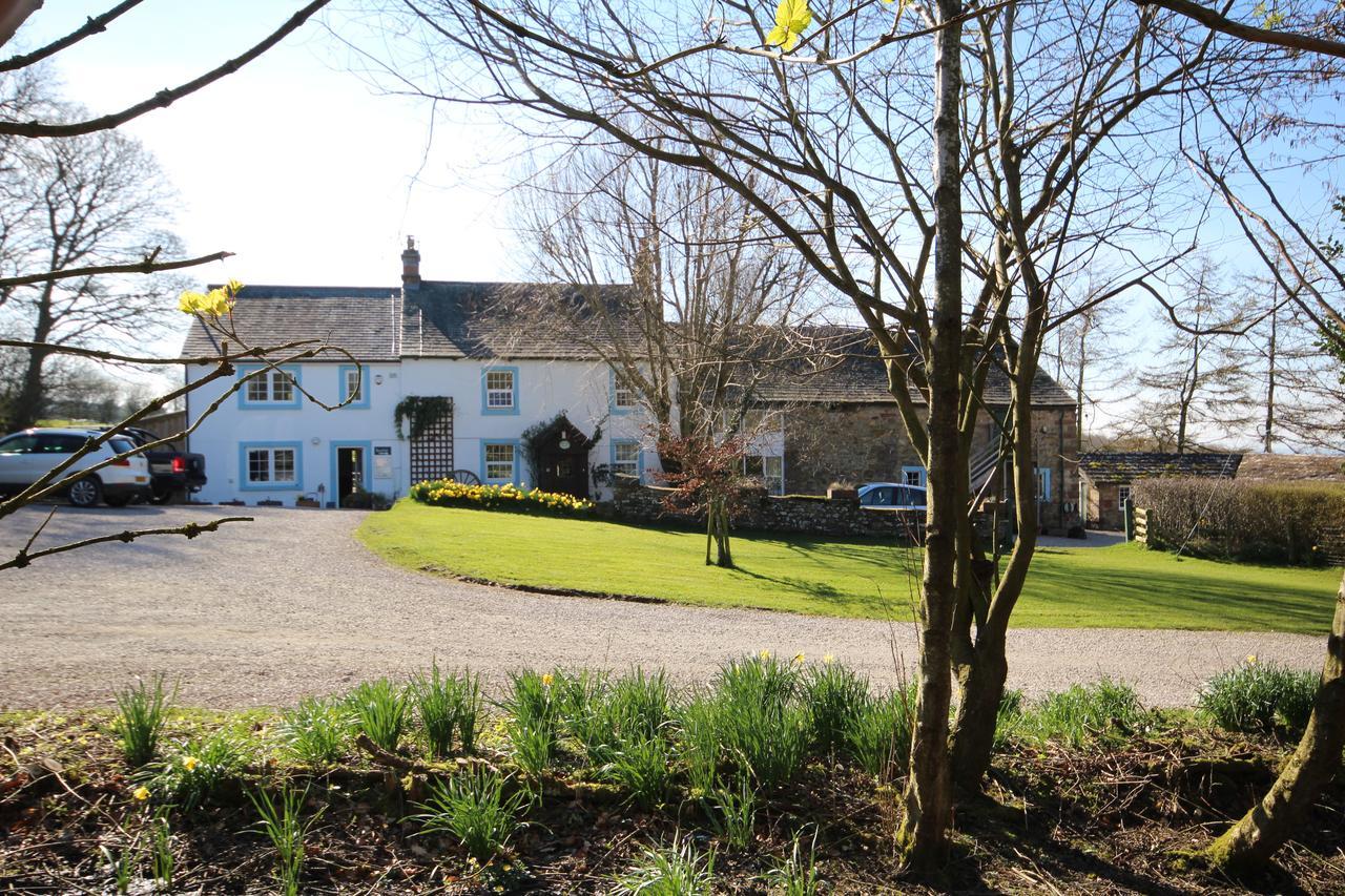 Wallace Lane Farm Westward Exterior photo