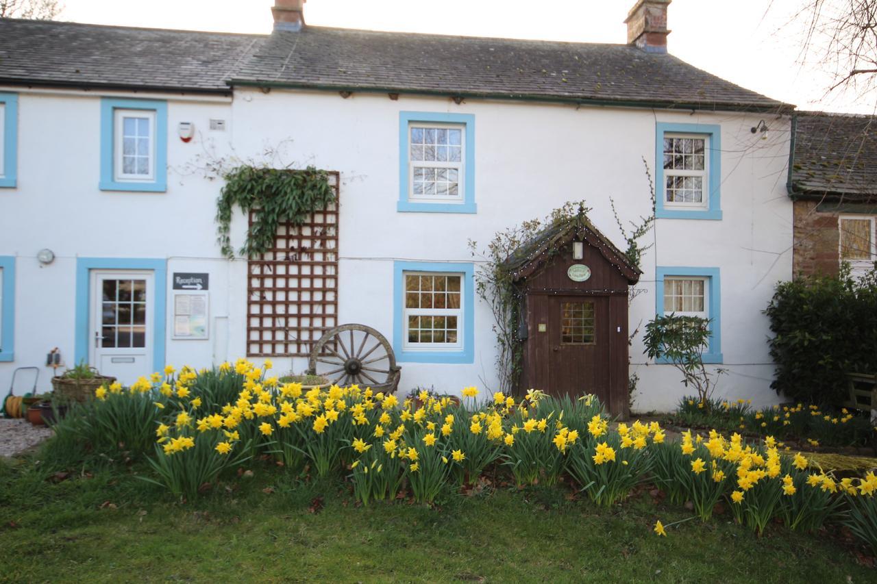 Wallace Lane Farm Westward Exterior photo